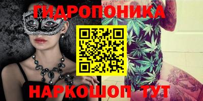 стафф Новокубанск