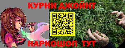 стафф Новокубанск