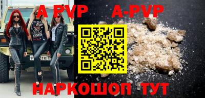 стафф Новокубанск