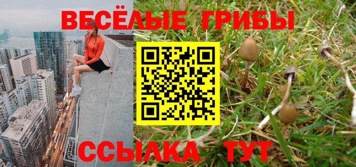 Псилоцибиновые грибы прущие грибы Углич