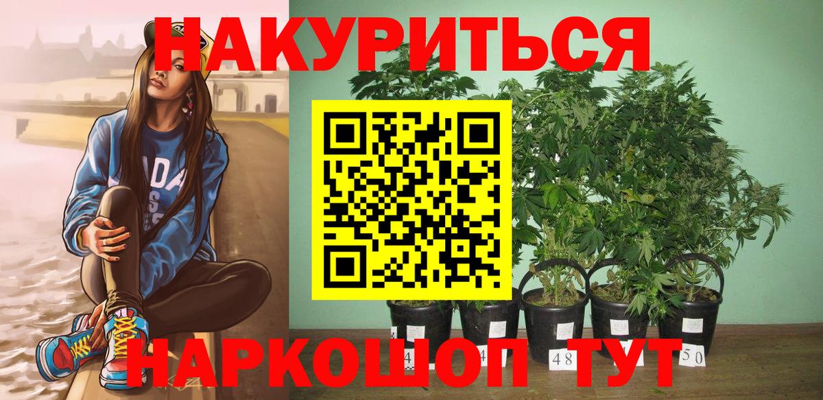 Канабис конопля  Бошки Шишки MAZAR  Вход с VPN  МАРИХУАНА гибрид  Углич 